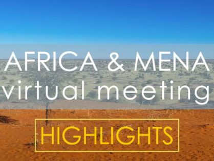 Africa & MENA regions successfully hold a joint virtual meeting